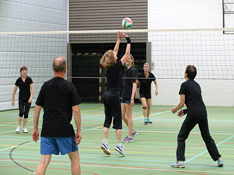 Filet d'entraînement de volley-ball - Howitec - Des filets pour chaques